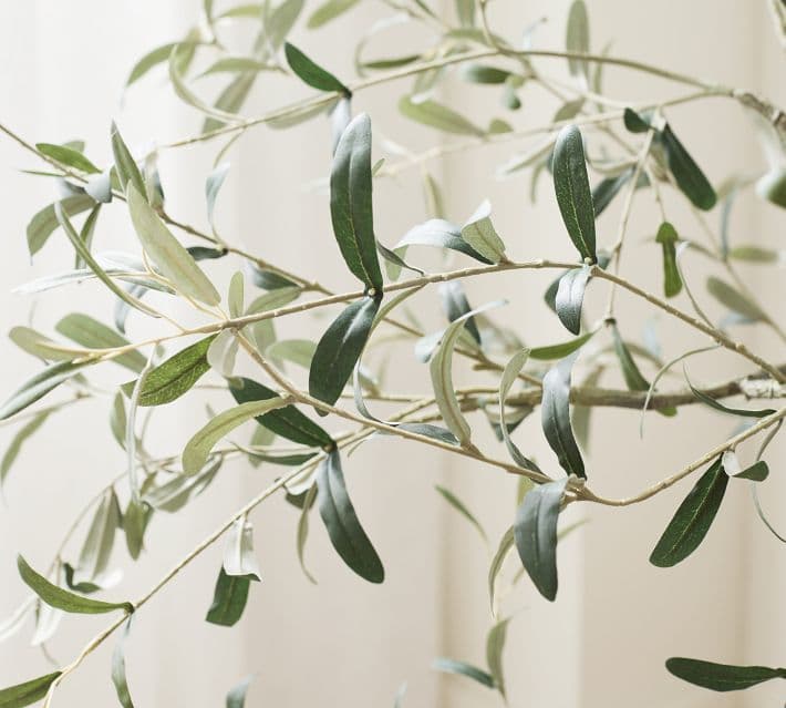 Faux Olive Trees thumbnail 15