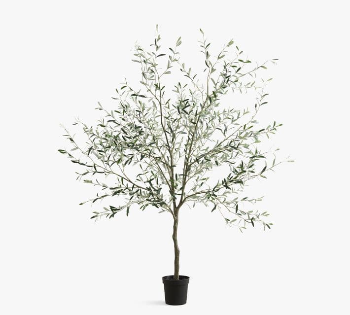 Faux Olive Trees thumbnail 19