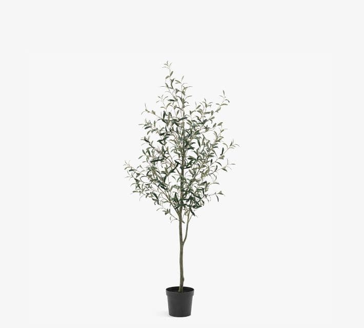 Faux Olive Trees thumbnail 17