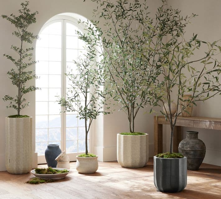Faux Olive Trees - Image 1