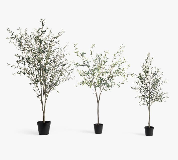 Faux Olive Trees thumbnail 21