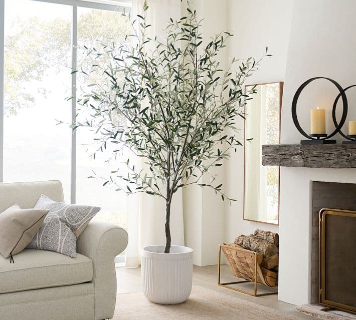 Faux Olive Trees thumbnail 12