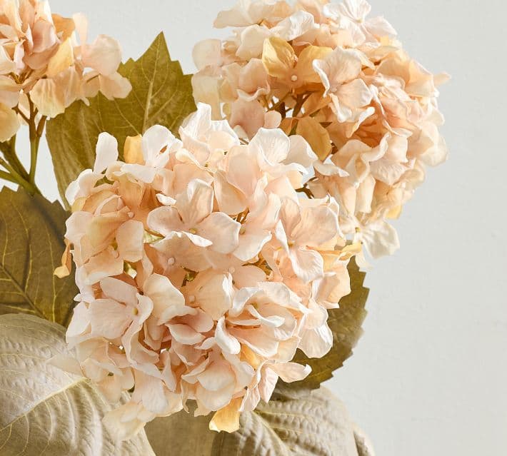 Faux Cream Hydrangea Bundle thumbnail 4
