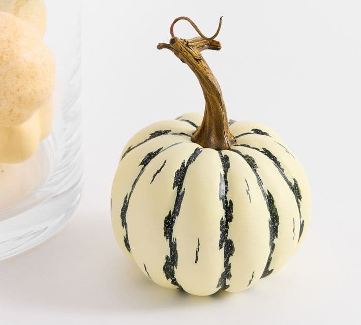Faux Pumpkin Vase Filler thumbnail 6