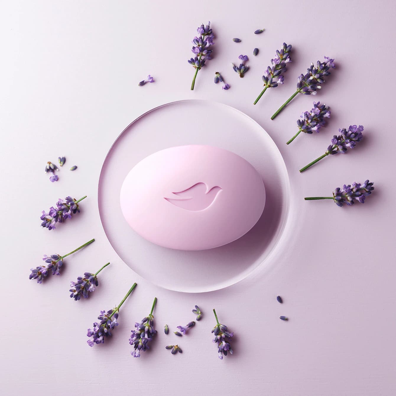 Product - Image 1