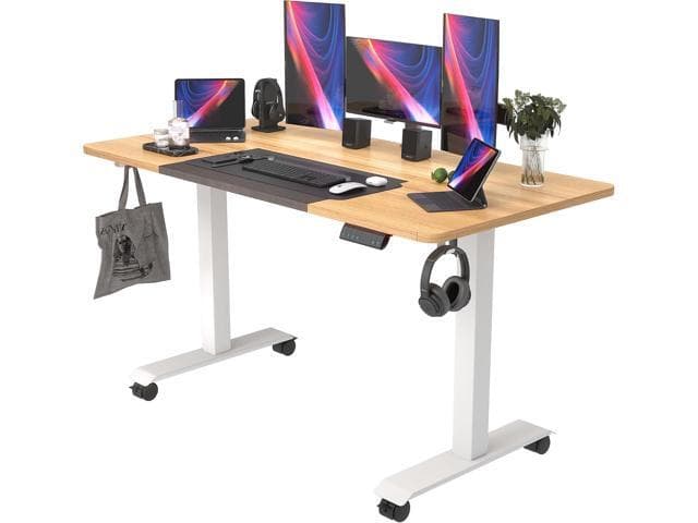 Monomi Electric Standing Desk