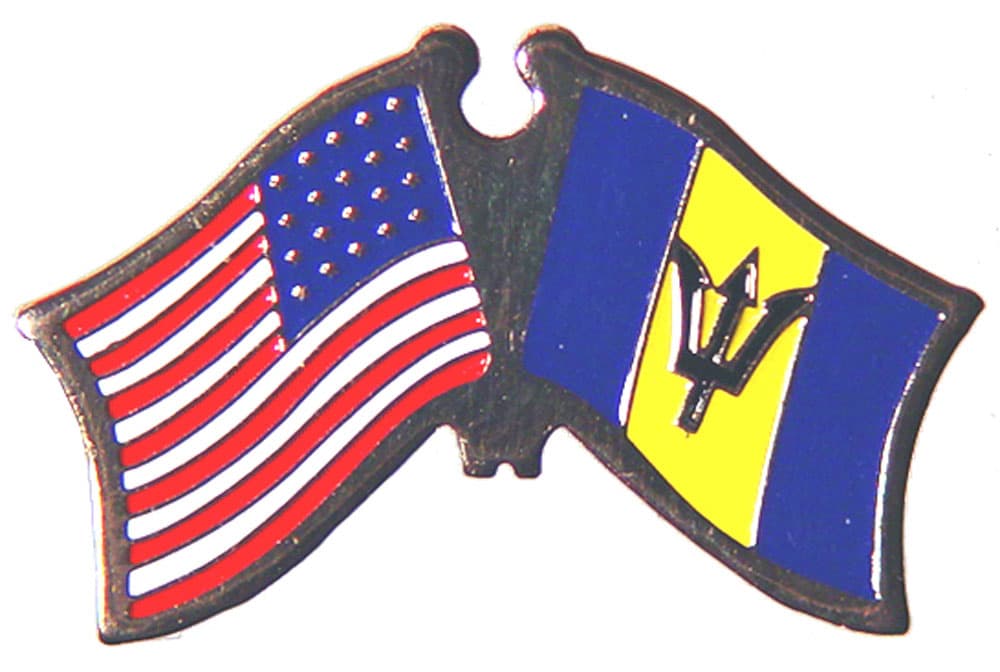 INTERNATIONAL, All Country Flag - Original Artwork, Expertly Designed PIN thumbnail 5