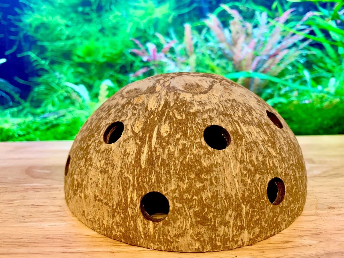 Coconut shell aquarium For Shrimp Fish Fry Hide Cave Aquarium Decoration Shelter thumbnail 2