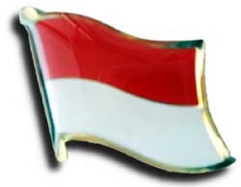 MONACO  HAT  LAPEL FLAG PIN  - NEW - Image 1