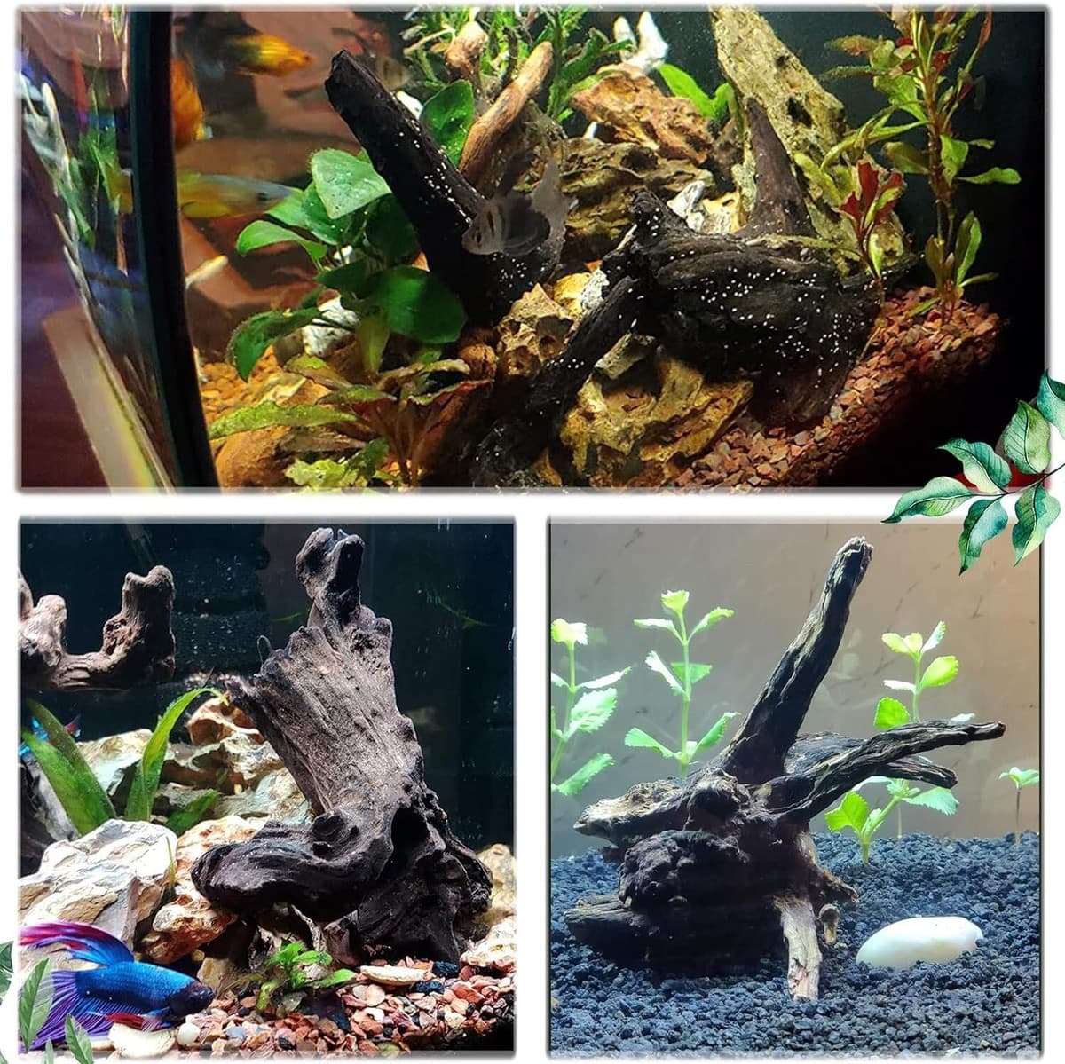 Large Aquarium Fish Tank Driftwood Decoration Natural Assorted Wood Branches NEW thumbnail 2