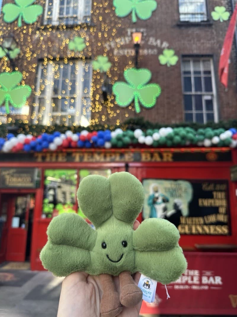 ️Brand New Jellycat ️ Siofra Shamrock Ireland ️ Exclusive Thomas Brown thumbnail 3