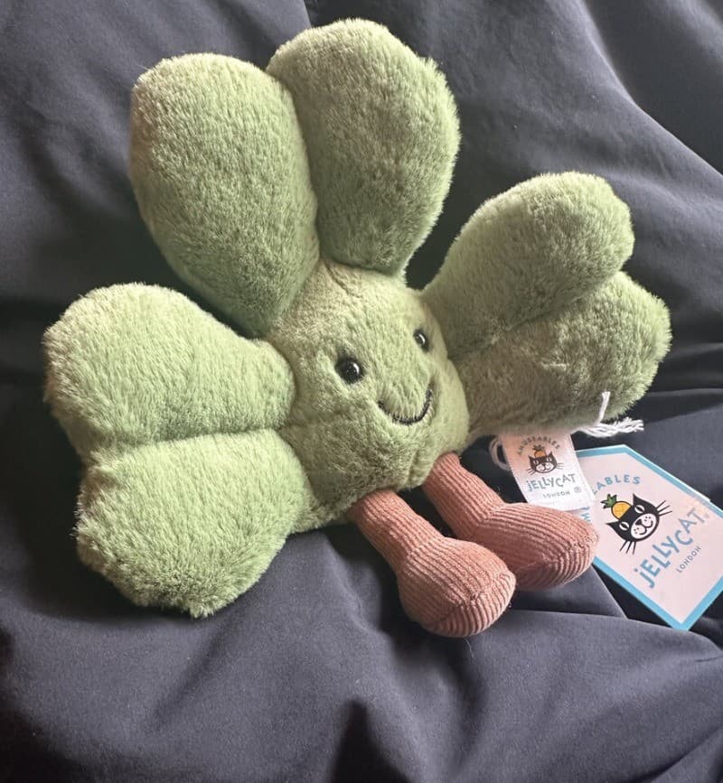 ️Brand New Jellycat ️ Siofra Shamrock Ireland ️ Exclusive Thomas Brown thumbnail 5