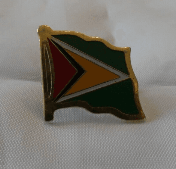 VINTAGE COUNTRY FLAG PIN BROOCH  GUYANA - Image 1