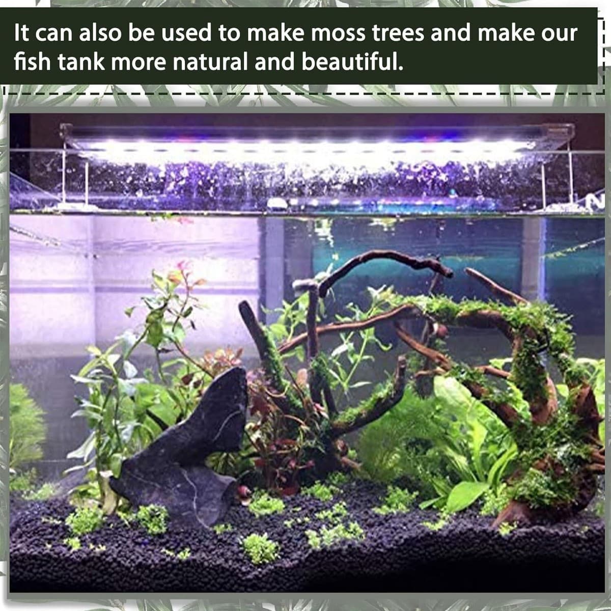Large Aquarium Fish Tank Driftwood Decoration Natural Assorted Wood Branches NEW thumbnail 5