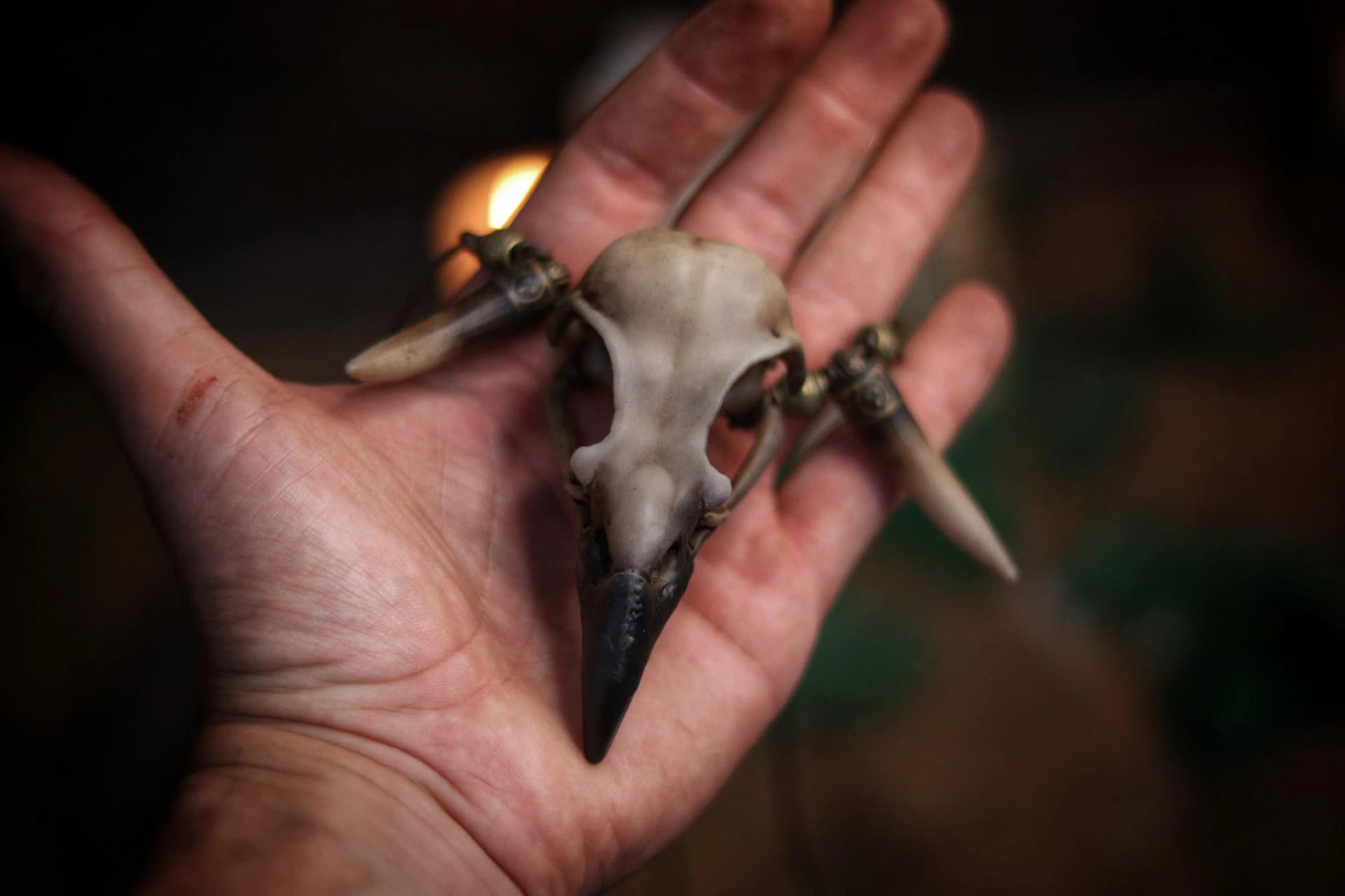 Crow Skull Bone Necklace with Gold-Capped Fangs – Gothic Resin Jewelry for LARP - Image 1