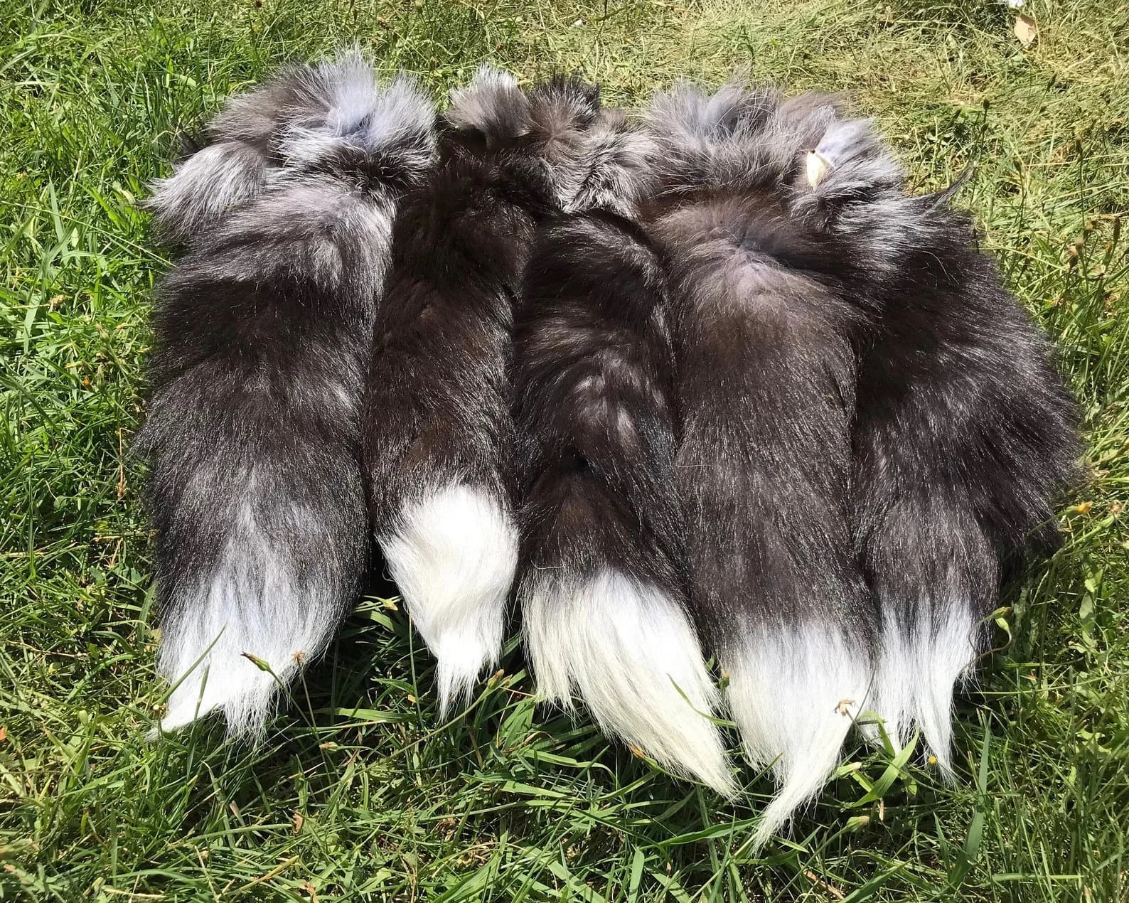 NATURAL COLOR FOXTAIL, White Fur, Costume Tails, Fox Fur Keychain, Genuine Fox Fur, Genuine Leather, Fur Pieces, Real Animal Fur Tails - Image 1