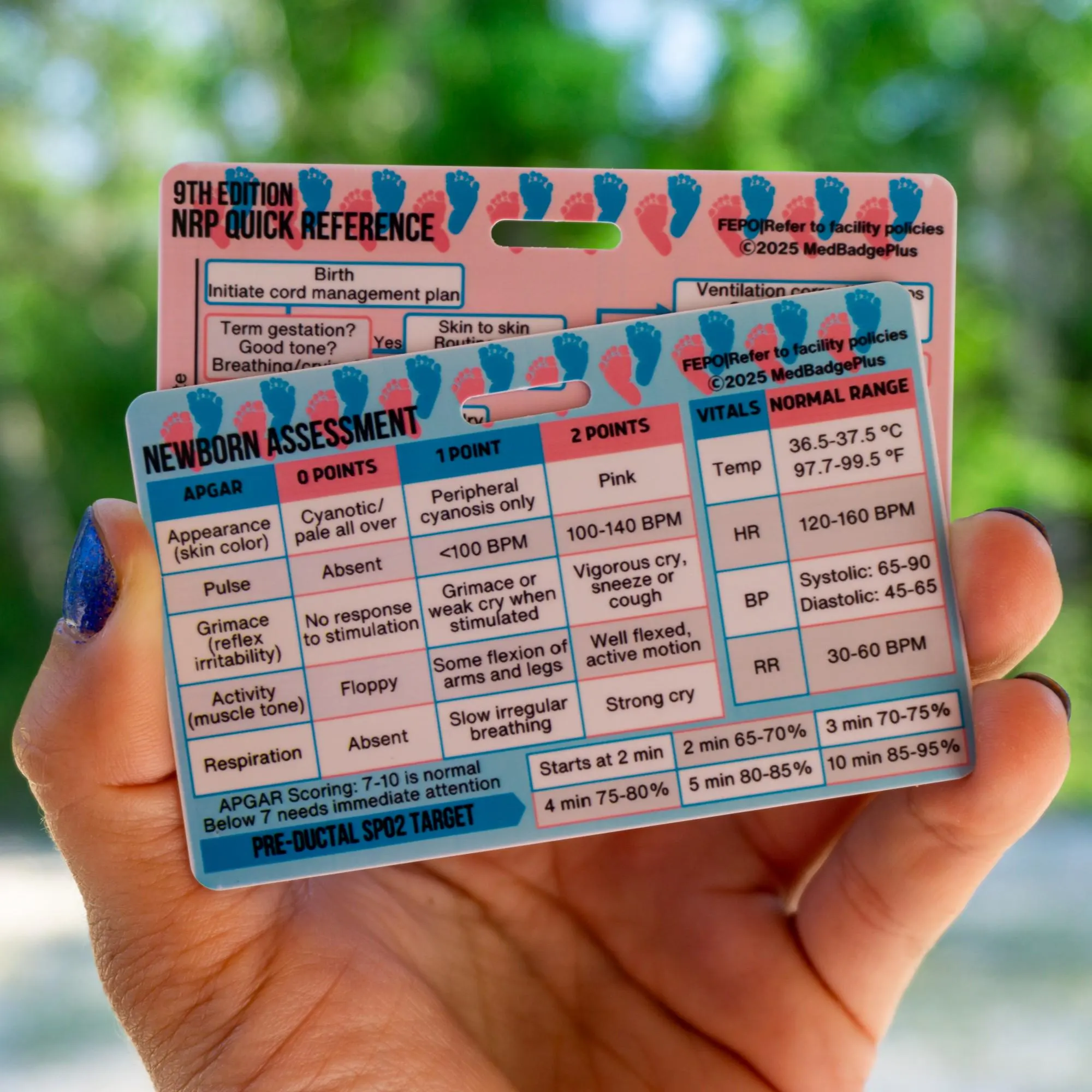 NRP Badge Card | Newborn Assessment Reference | NICU L&D Nurse Badge Buddy | Nursing Student Gift - Image 1