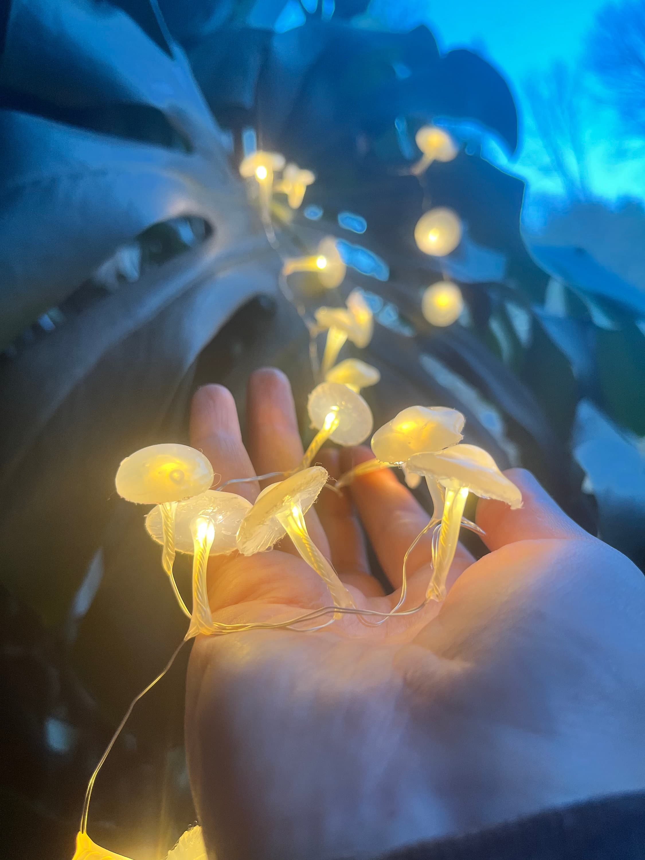 LED Mushroom Fairy String Lights | Night Lights | Nature Decor | Mushroom Decor
