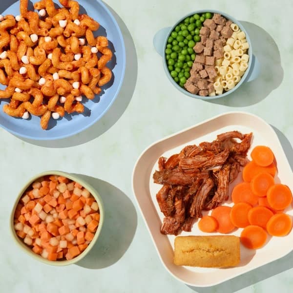 Nurture Life Best Sellers Finger Foods & Kids Meals | Pre Made Baby, Toddler & Kid Meal Subscription | Healthy & Fresh