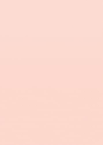 Blush Better Than Paper® Bulletin Board Roll, 4 feet x 12 feet thumbnail 2