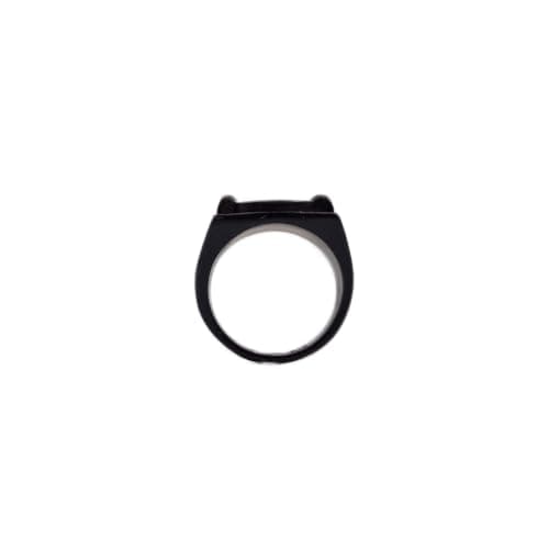 CAT NOIR RINGGGG thumbnail 8
