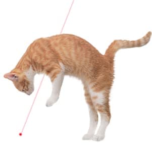 Zugesify Laser Pointer Cat Toy, Interactive Toy with Red Dot LED Light Pointer, Long Range 3 Modes Projection Playpen for Kitten Interaction,USB Recharge Pointer (1 pcs) thumbnail 3