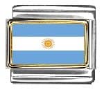 Clearly Charming Argentina Flag Italian Charm Bracelet Link - Image 1