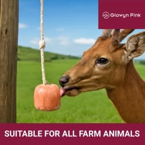 Glowyn Pink Himalayan Mineral Salt Block on Rope Pack of 4 (3lbs each) – 100% Organic Pink Salt Lick for Horses and Livestock. Deer Attractant with No Harmful Elements. thumbnail 3