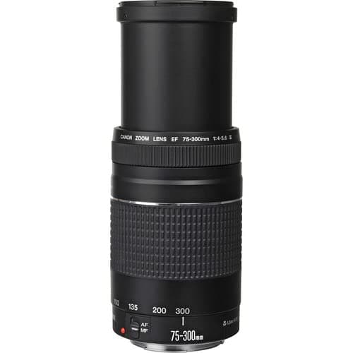 Canon EF 75-300mm f/4-5.6 III Lens | Compact Telephoto Zoom with Versatile Focal Range & Smooth Autofocus | Great for Sports, Wildlife, & Everyday Photography (6473A003) + Shoulder Bag + 64GB Card thumbnail 4