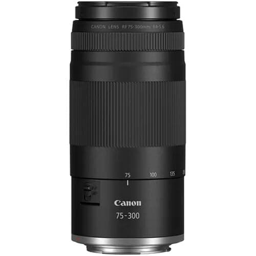 Canon RF 75-300mm f/4-5.6 Lens | Compact Telephoto Zoom with Versatile Focal Range & Smooth Autofocus | Great for Sports, Wildlife, Travel & Everyday Photography (7155C002) + Shoulder Bag + 64GB Card thumbnail 3
