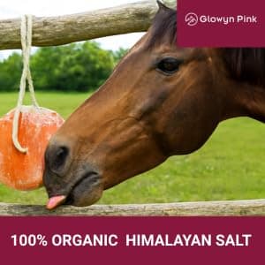 Glowyn Pink Himalayan Mineral Salt Block on Rope Pack of 4 (3lbs each) – 100% Organic Pink Salt Lick for Horses and Livestock. Deer Attractant with No Harmful Elements. thumbnail 4