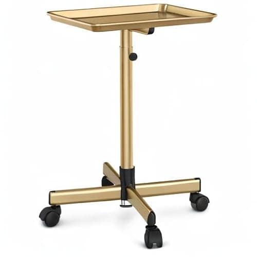 TASALON Premium Salon Tray on Wheels, Aluminum Salon Rolling Tray Trolley for Salon Essentials, Adjustable Height Provides Ample Storage for Hairstylist Tray, Tattoo Tray and Clinic Tray Use - Gloden thumbnail 8