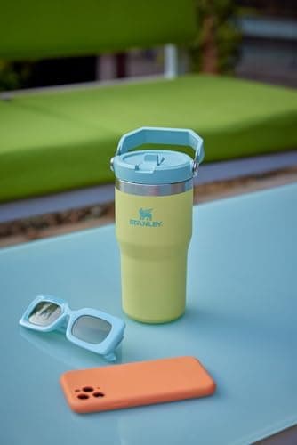 Stanley IceFlow Flip Straw Tumbler with Handle | Twist On Lid and Flip Up Straw | Leak Resistant Water Bottle | Insulated Stainless Steel | BPA-Free thumbnail 8