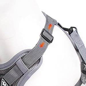 Wanheart cat Chest Harness and Leash, Anti-Escape Adjustable Soft mesh cat Leash and Chest Harness Set for All Types of Cats cat Vests (Grey, 3.3-6.6lb) thumbnail 6