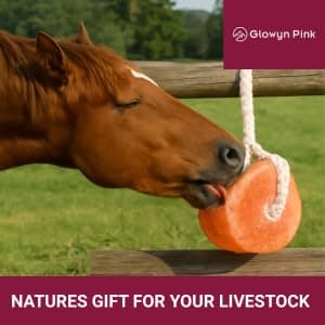 Glowyn Pink Himalayan Mineral Salt Block on Rope Pack of 4 (3lbs each) – 100% Organic Pink Salt Lick for Horses and Livestock. Deer Attractant with No Harmful Elements. thumbnail 2