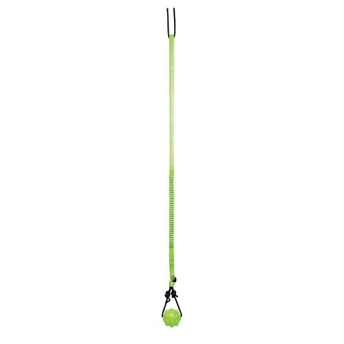Jolly Pets Tree Tugger For Dog, Green - Image 1