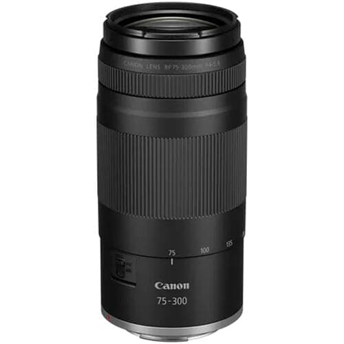 Canon RF 75-300mm f/4-5.6 Lens | Compact Telephoto Zoom with Versatile Focal Range & Smooth Autofocus | Great for Sports, Wildlife, Travel & Everyday Photography (7155C002) + Shoulder Bag + 64GB Card thumbnail 2