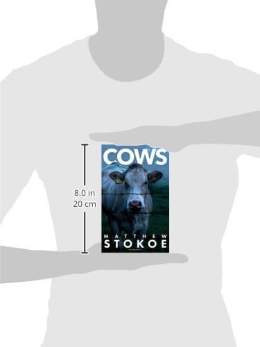 Cows thumbnail 3
