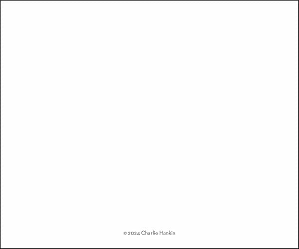 Cartoons from The New Yorker 2026 Day-to-Day Calendar thumbnail 4