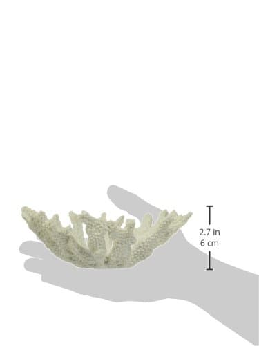 Abbott Collection Coral Bowl, White (Small) - Small Shallow Coral Bowl thumbnail 3