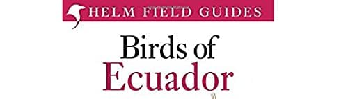 Field Guide to the Birds of Ecuador (Helm Field Guides) thumbnail 6