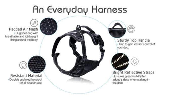rabbitgoo Dog Harness, No Pull for Large Dogs with 2 Leash Clips, Pet Vest | No Choke with Handle, Adjustable Soft Padded, Reflective, Easy Control for Walking, Black, Large thumbnail 9
