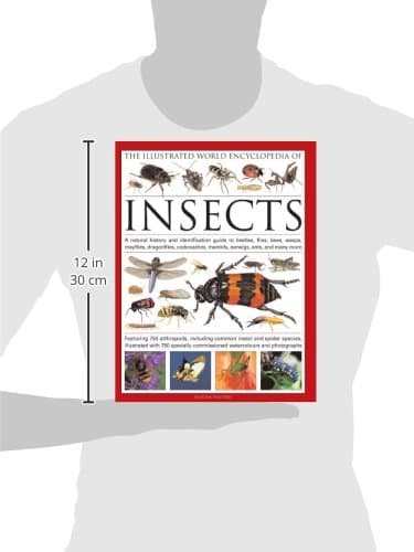 The Illustrated World Encyclopedia of Insects: A Natural History and Identification Guide to Beetles, Flies, Bees, wasps, Springtails, Mayflies, ... Crickets, Bugs, Grasshoppers, Fleas, Spid thumbnail 2