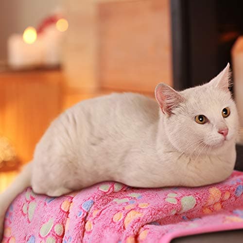 Tatuo 4 Pcs Dog Blanket for Pet Puppy Teething Toys Paw Print Fleece Blanket for Pet Cat Soft Warm Sleep Mat Guinea Pig Cage Mat(Small(24 x 16 Inch),White, Coffee, Pink, Purple) thumbnail 6