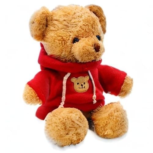 AUCOOMA plush teddy bear w/ red hoodie thumbnail 7