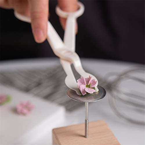 6PCS Cake Flower Nail and Flower Lifters Set, Stainless Steel Cake Cupcake Decor Baking Tools for Icing Flowers Decoration (4 Sizes) thumbnail 2