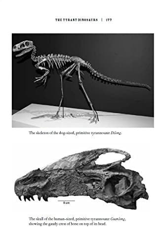 The Rise and Fall of the Dinosaurs: A New History of Their Lost World thumbnail 6