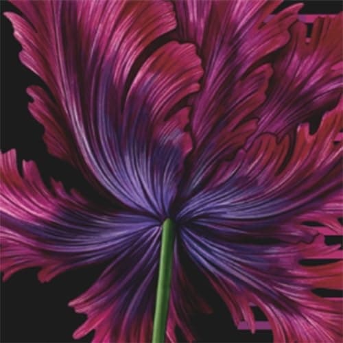 NEST New York Black Tulip Eau de Parfum (Full Size) - 50 mL - Vegan & Cruelty Free thumbnail 4