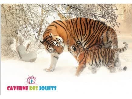 Destins, Le Jeu de la Vie - Nouvelle Edition Original, Plateau Parcours Colore avec Roue - Jeu de Societe Famille et Carte Pets thumbnail 2