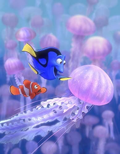 Alla Ricerca di Nemo - Collection 2016 (DVD) thumbnail 4